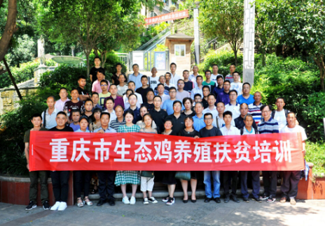 重庆市生态鸡养殖扶贫培训在綦江区成功举办