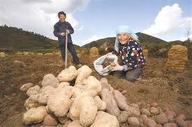 <b>无极4测速网址多少铿锵起步 坚定前行——青海省</b>