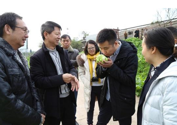 <b>无极4平台链接涪陵创建“全国绿色食品原料（青</b>