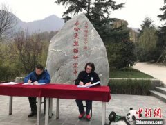 <b>无极4平台代理全球唯一圈养棕色大熊猫“七仔”</b>