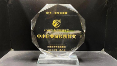 <b>无极4总代理怎么注册京东企业购获东莞“年度服</b>