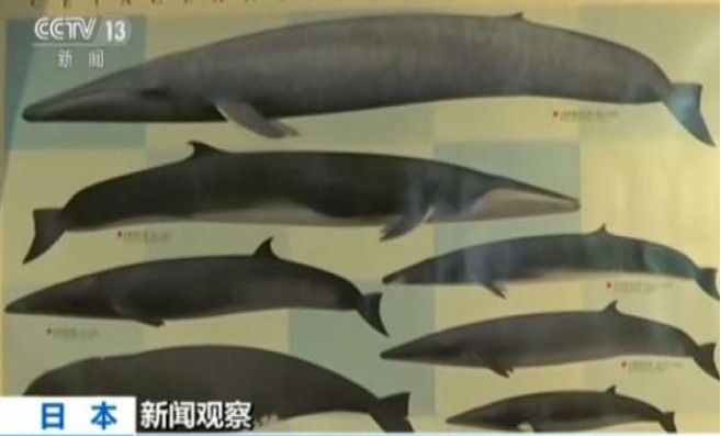 无极4平台网址