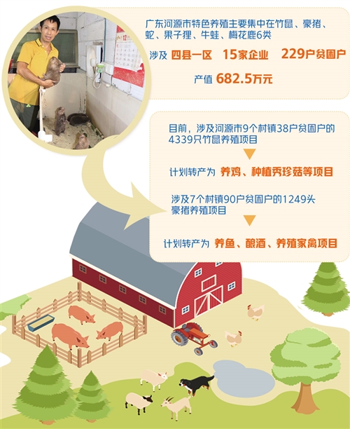 无极r荣耀