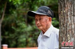 <b>福建后洋村：无极4荣耀总代是谁千亩绿林激活“</b>