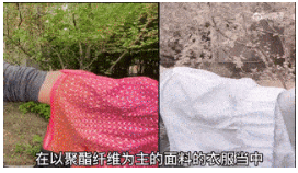 无极4可信吗