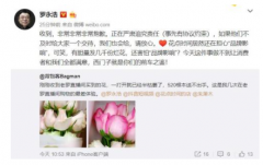 <b>罗永浩520大型翻车现场 无极4靠谱吗高圆圆持股的</b>
