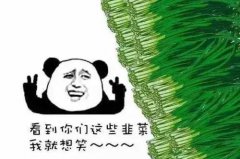 <b>和孙子学，无极4总代理注册还能升职加薪出任</b>