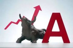 <b>肖钢：无极4最大总代理推动长期投资制度建设</b>
