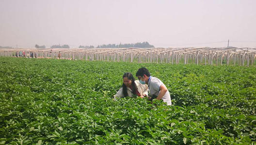 无极4荣耀主管帐号