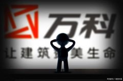 万科拟24亿入股泰禾 知情人士：无极娱乐怎么做
