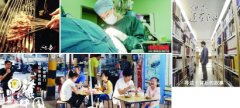 <b>青春、日常、专注无极4平台代理、轻巧 “网感”</b>