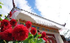 <b>人均可支配收入近四万！无极4荣耀总代理这个村</b>