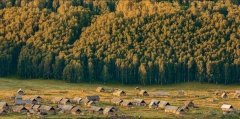 <b>新疆昌吉州、巴州、无极4荣耀最大总代阿勒泰地</b>