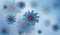 <b>南非至中国航班首现无极r荣耀新冠确诊病例 或触</b>