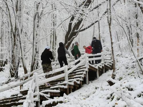 无极4平台代理