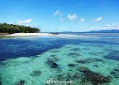 <b>澳大利无极4平台登录亚大堡礁面临生态危机</b>