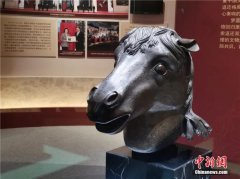 <b>终于！“马首”回家了无极4荣誉</b>