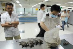 <b>新西兰加强入境防无极荣耀注册平台疫 高风险国</b>