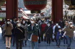 后疫情时代，无极荣耀平台怎么样就近留学、回