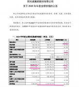 <b>阳光城无极4最大总代理2020年归母净利增31.4% 继有</b>