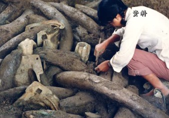 无极4荣耀app