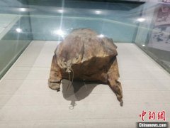 <b>一只羊皮筏子的见证：无极4荣耀怎么注册代理老</b>