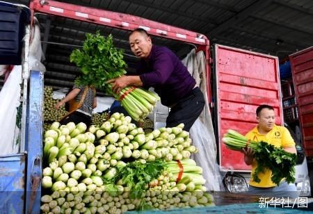 无极任务平台总代理