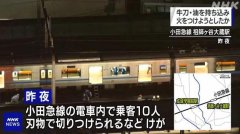 <b>东京电车袭击案致10伤 嫌犯称曾想炸掉涩谷路口</b>