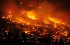 <b>十余场大型山火在美国加州蔓延 无极4平台官网政</b>