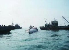 <b>一艘中国渔船在韩国西部海域沉没 无极4荣耀总代</b>