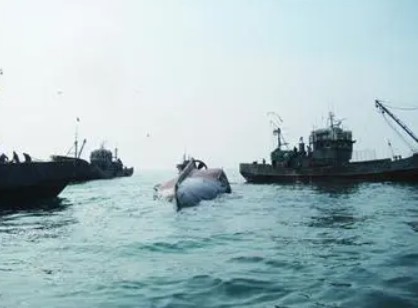 无极4荣耀总代理