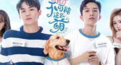 <b>微短剧悄然兴起：无极4平台代理短视频竞品还是</b>