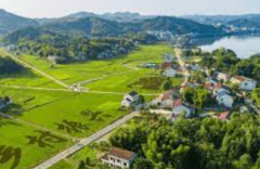 <b>德国七位市长致信政府无极4荣耀总代是谁 望重新</b>