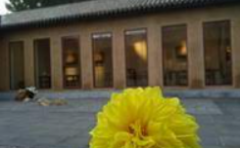 暑期档电影佳片迭出市场回暖无极4平台总代理