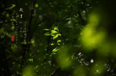 处暑：秋日美景铺陈来无极娱乐怎么做代理