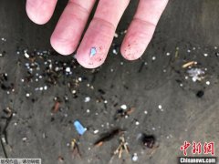<b> 什么是无极荣耀日本研究机构推测：一年有180亿</b>