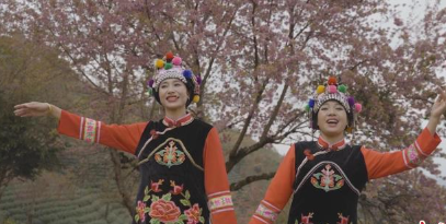 无极任务平台代理