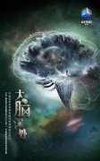 <b>无极4平台登录app纪录片《大脑深处》带你认识一</b>