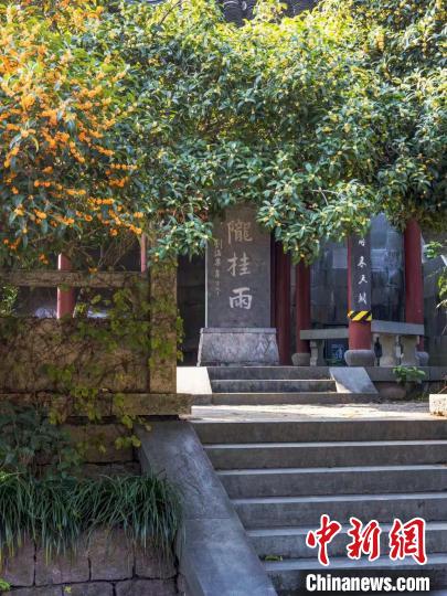 无极4平台登录