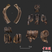 <b>无极荣耀4好不好四川资阳濛溪河遗址考古成果公</b>