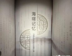 无极4app以史为“根”传承非遗记忆