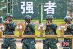 <b>无极4最大总代《星星点灯》歌词改编争议揭示著</b>