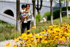 <b>无极4平台地址城市绿心打造2.5公里运河故道 彰显</b>