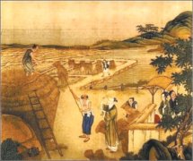 无极4平台登录立秋：预先十日作秋天