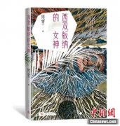 无极4怎么样？作家残雪最新短篇小说集《西双版
