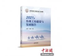 <b>无极荣耀平台怎么样总结鲁班工坊海外建设成果</b>