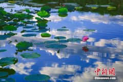 <b>无极4测速网址多少今日白露丨秋色斑斓入梦来</b>