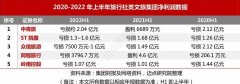 <b>2022年度文旅集团投融资分析报告无极4靠谱吗</b>