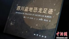 无极4平台代理四川自贡恐龙博物馆《四川盆地恐