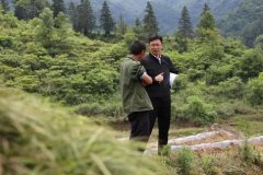 <b>驻村第一书记无极4平台好不好发挥自身优势，建</b>